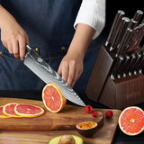 15-Piece Professional Knife Block Set with Acacia Wood Block
