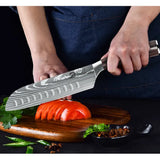 9-Piece German Steel Knife Set with Roll Bag